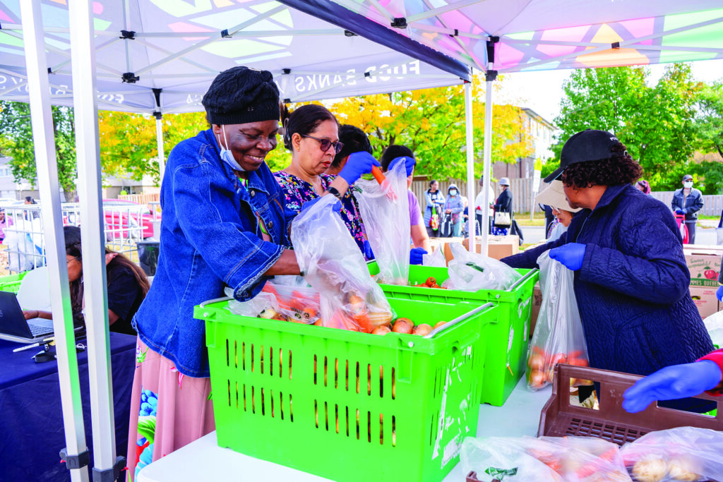 Nourishing News Winter 2024 Program Spotlight Food Banks Mississauga   2023.09.28 PopUp Volunteers 1024x683 